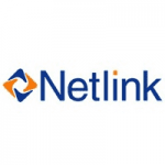 Netlink Logo