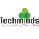 Techminds Learning Services Logo