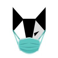 Nickelfox Off Campus Drive 2021 | Freshers | Junior Android Developer | BE/ B.Tech | Noida